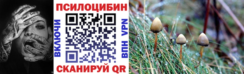 Галлюциногенные грибы GOLDEN TEACHER  цены   Славск 